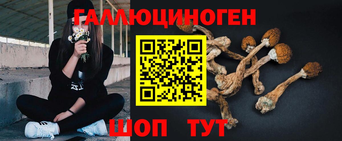 Псилоцибиновые грибы мухоморы Омск
